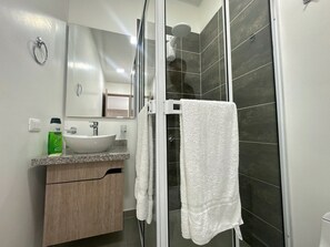 Ducha, secador de pelo, toallas, papel higiénico