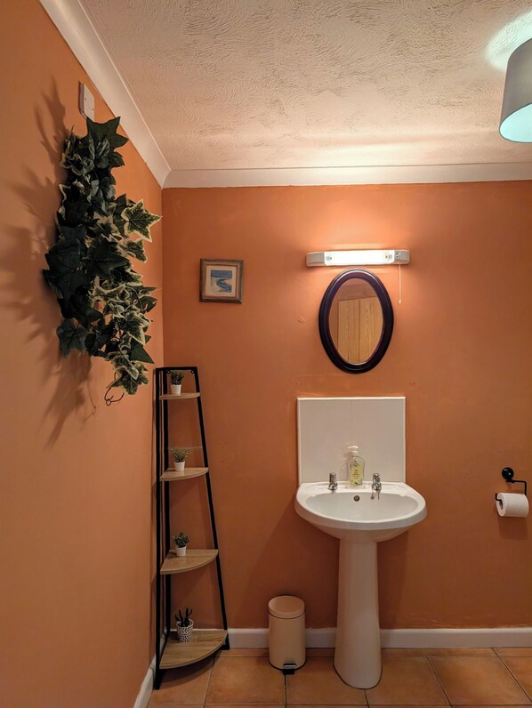 A bathroom with an orange wall, a white sink, a mirror, a shelf with plants, and a trash can. - The Old Barn Near St Ives - Rustic Charm & Space (St Ives)