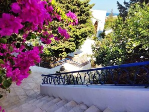 Vistas desde el alojamiento