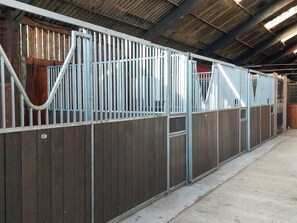 Property grounds - 3 bedroom accommodation in Penzance (Penzance)