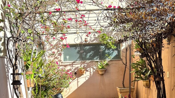 Une terrasse extérieure accueillante, avec un hamac, des plantes en pot et un banc en bois.
