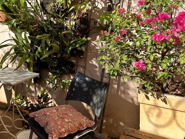 Un pequeño espacio al aire libre con una silla y una mesa, rodeado de plantas en macetas y arbustos florecientes.