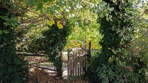 A wooden gate surrounded by dense foliage, leading to a pathway. - Relais il Ciliegio (Sorano)