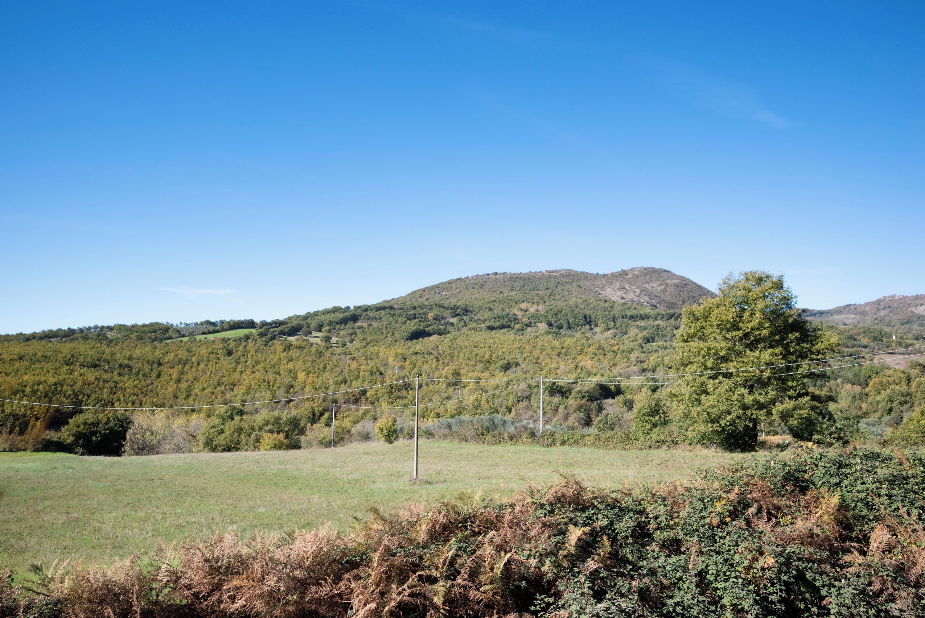 A rural landscape with a grassy field, a hill with trees, and a clear blue sky.