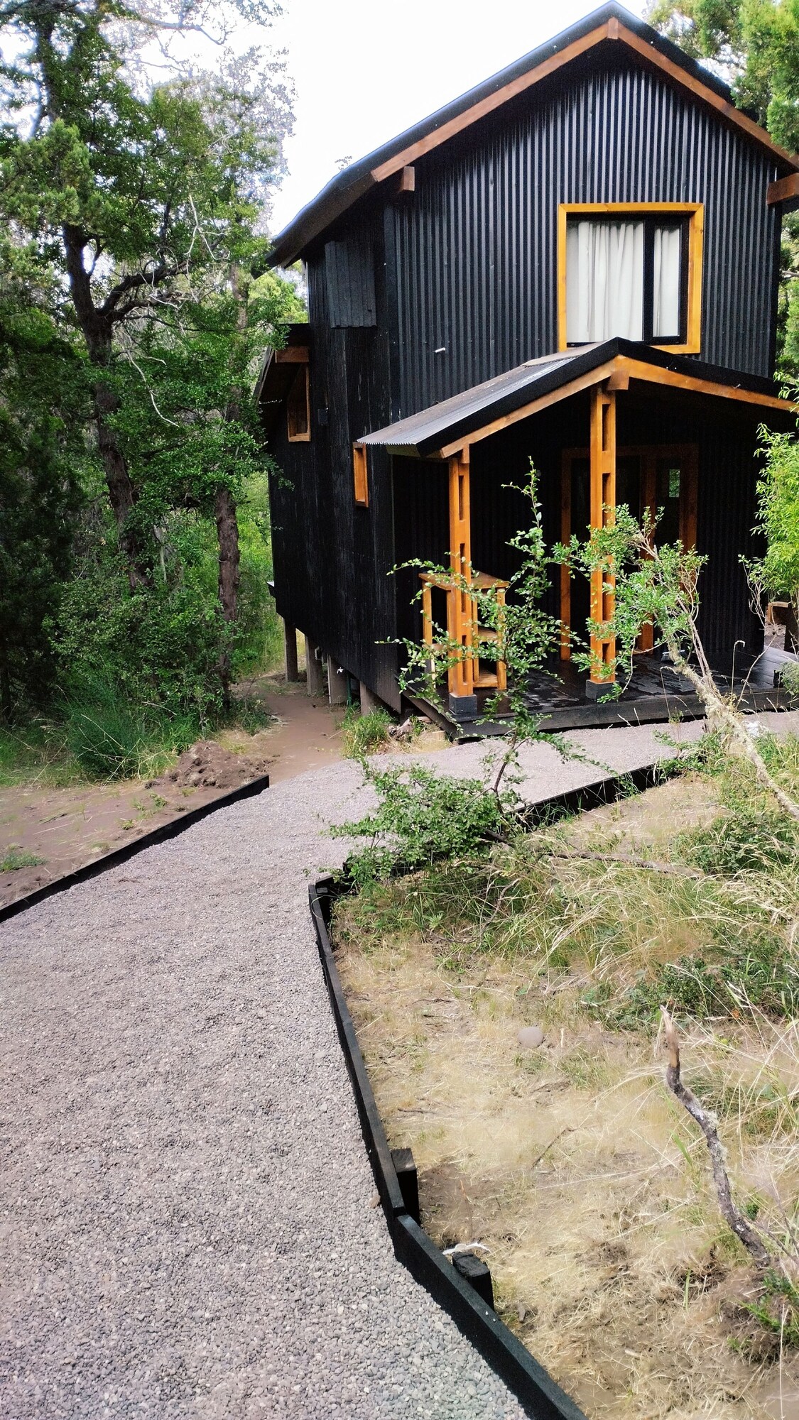 Värdens profilbild
