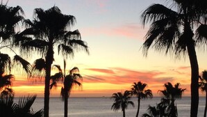 A beach scene with palm trees silhouetted against a sunset sky.
