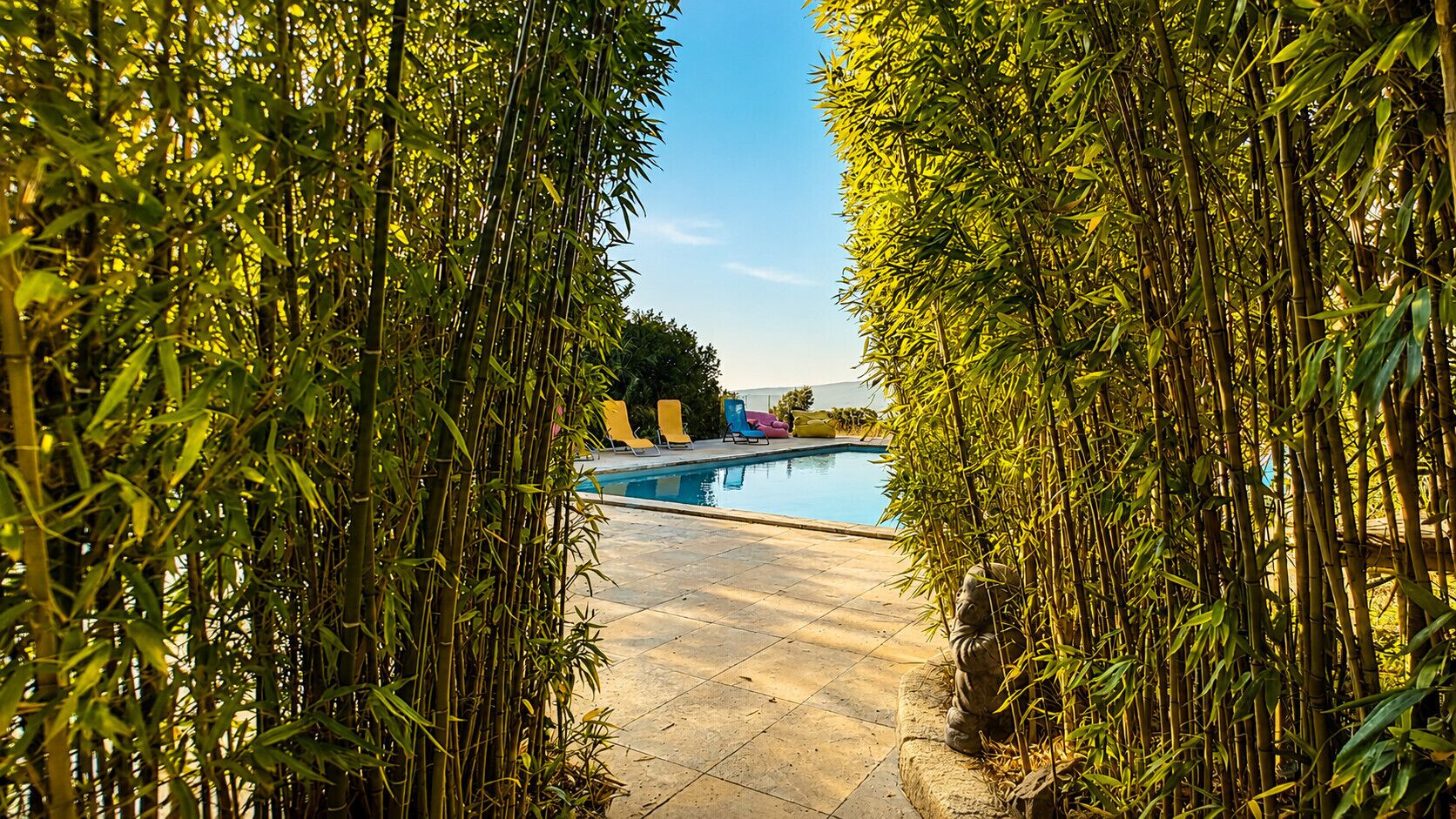 A swimming pool surrounded by bamboo foliage, with a clear sky in the background.