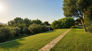 A well-maintained grassy area with a stone pathway leading through it.