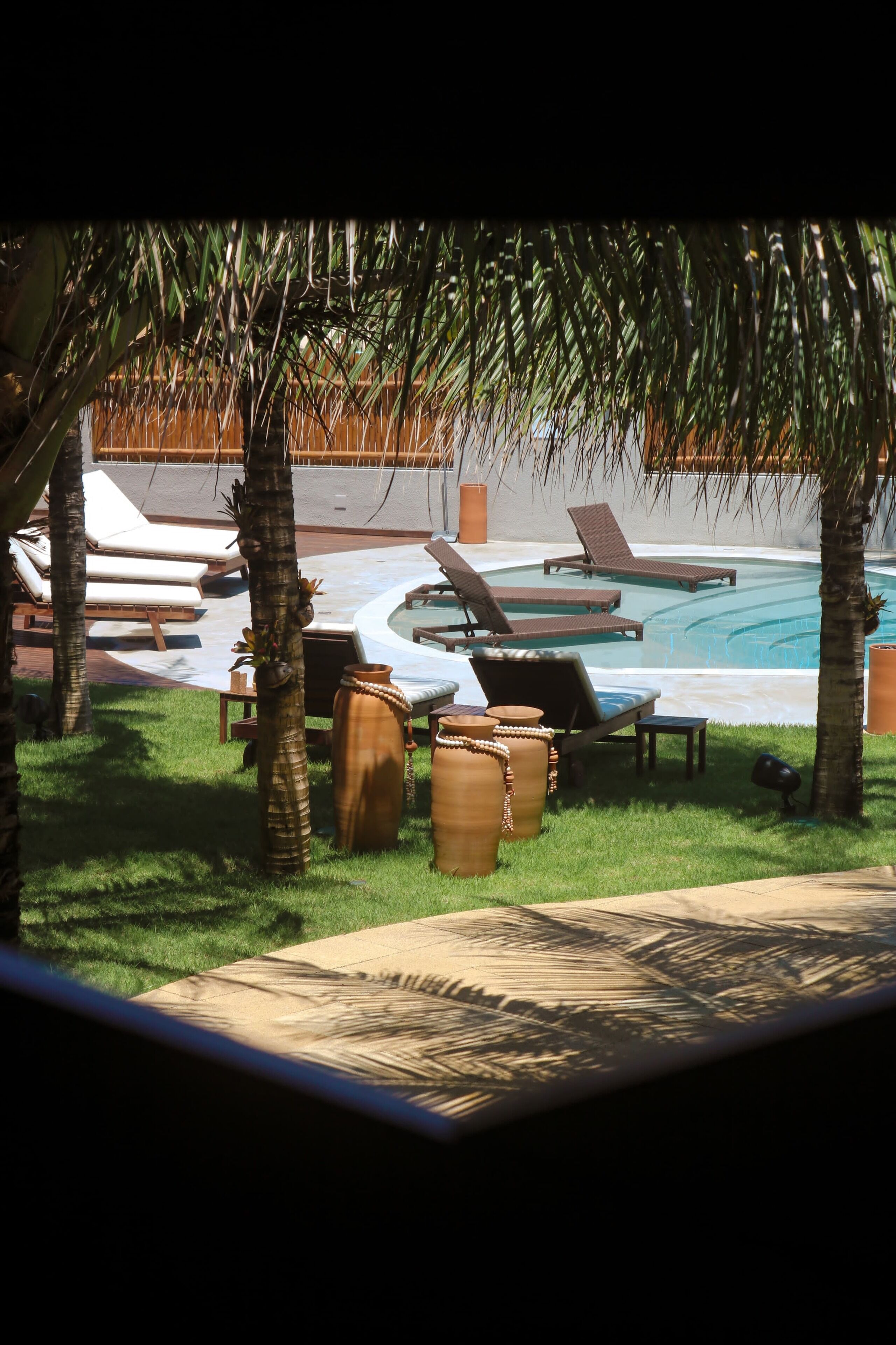 A poolside area with lounge chairs and a small table, surrounded by palm trees and a grassy lawn.