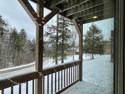 Slopeside, ski-in, ski-out condo-perfectly set along run 24 at Peek'n'Peek!