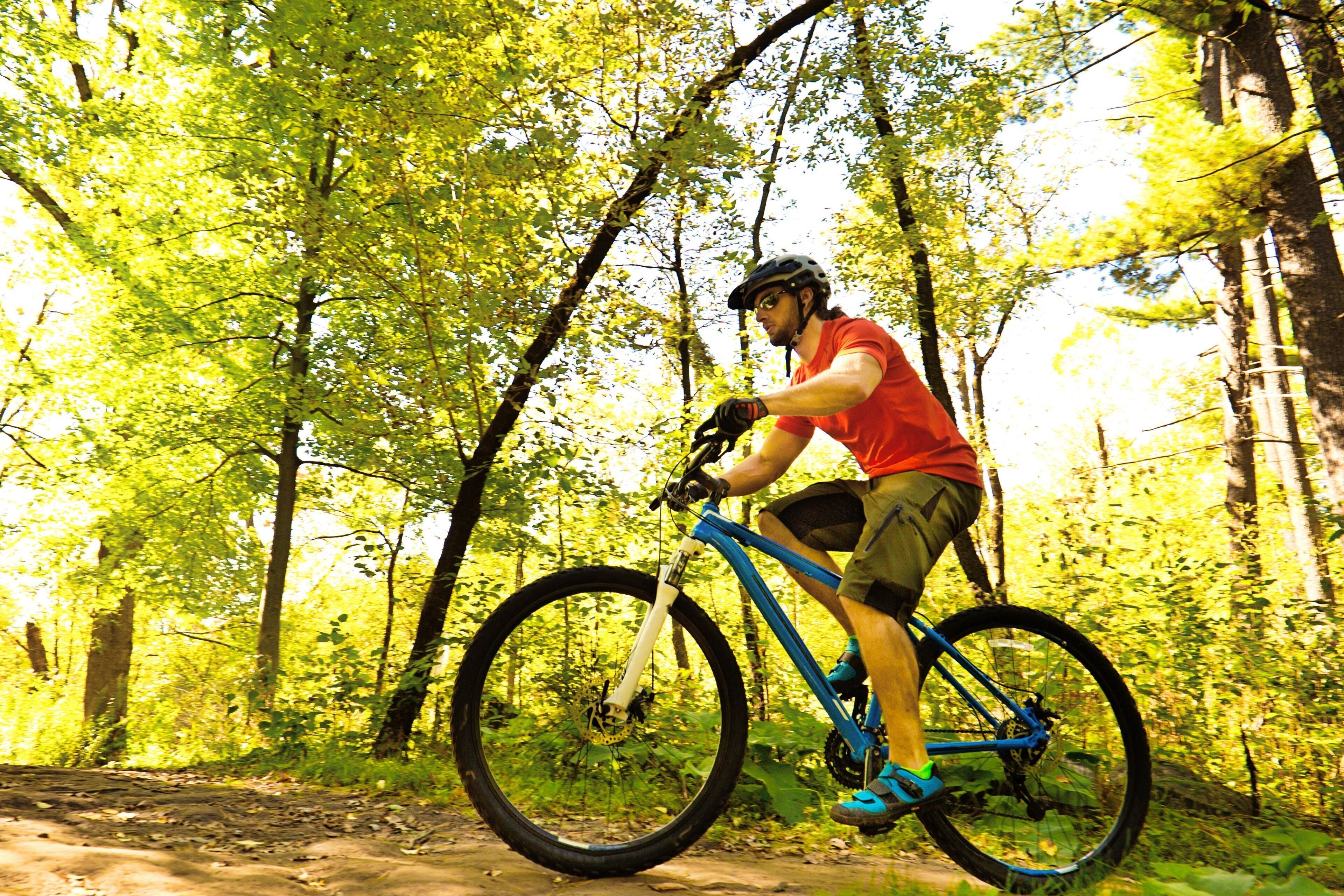 Una persona in sella a una mountain bike su un sentiero sterrato, circondata da alberi.