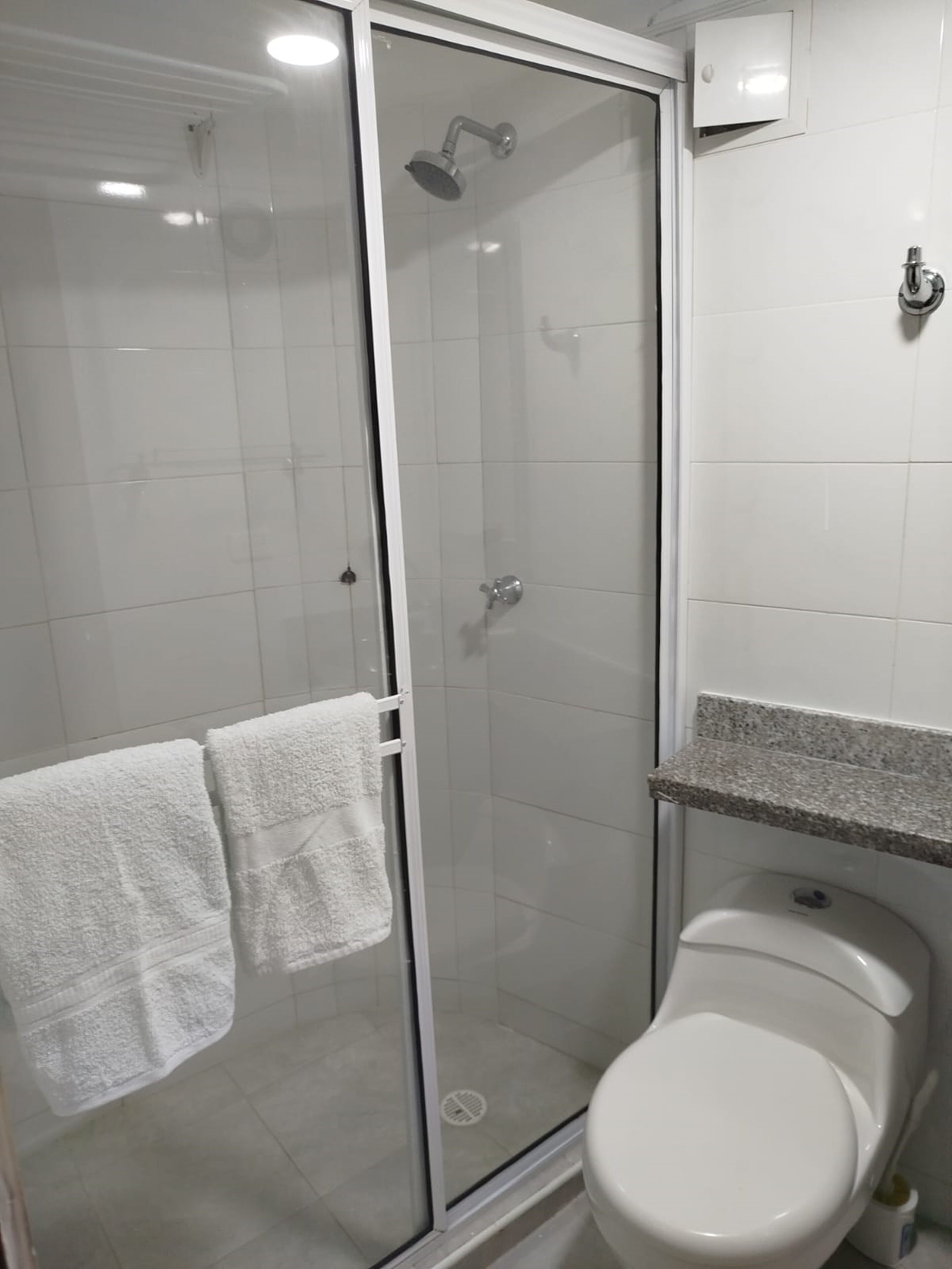 Eenvoudige studio, uitzicht op de stad | Badkamer | Een douche, toiletpapier