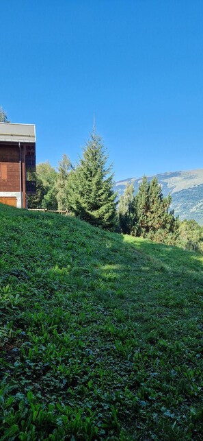 A grassy slope with a building on the left and a tree in the center. - 200m from ski slopes, 1st floor, balcony, tv, 26m², Montalbert (La Plagne)