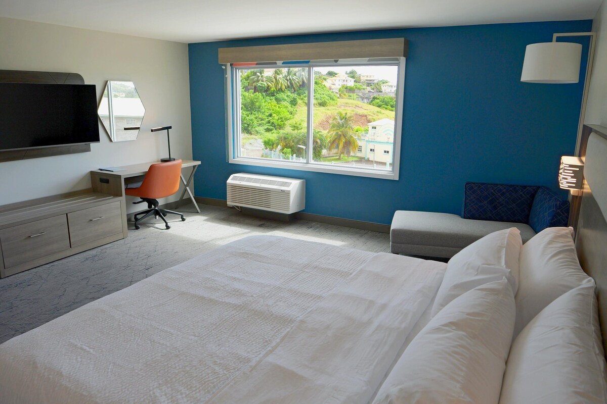 A hotel room with a bed, a desk, a chair, a TV, and a window with a view of greenery and buildings.
