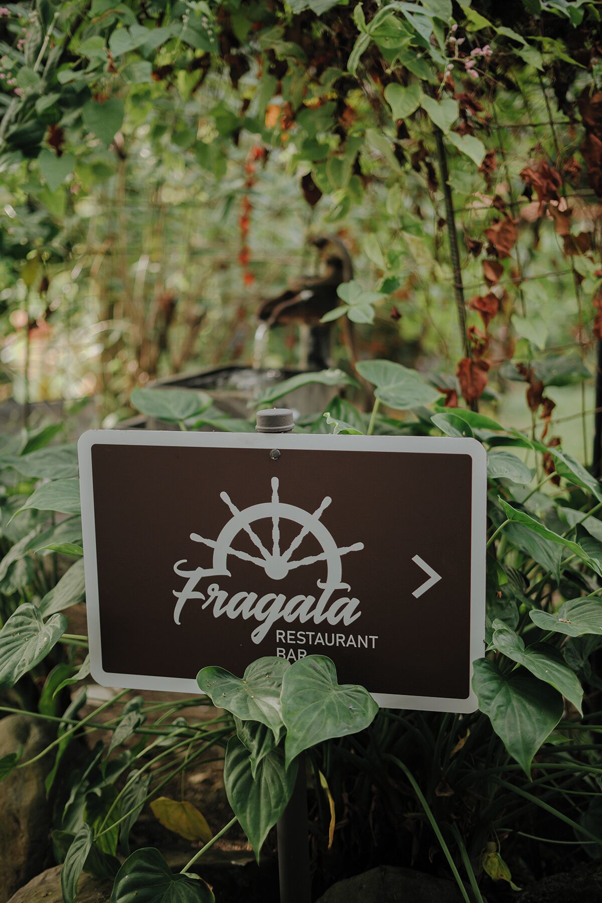 Photo - Vista Suites at Parador - Adults Only