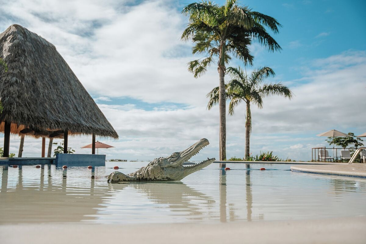 Photo - Vista Suites at Parador - Adults Only