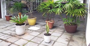 Jardines del alojamiento