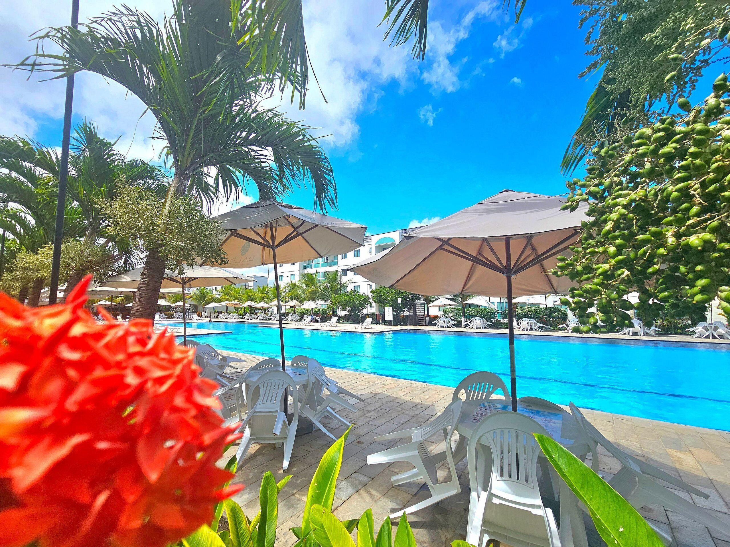 Leilighet – comfort | Basseng | 3 utendørsbassenger