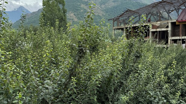 A view of a mountainous landscape with a partially constructed building and dense greenery in the foreground. - Shesh Bagh Boutique Homestay (Srinagar)