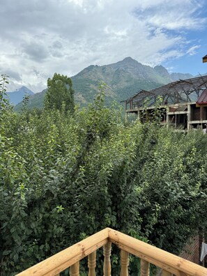 View from property - Shesh Bagh Boutique Homestay (Srinagar)