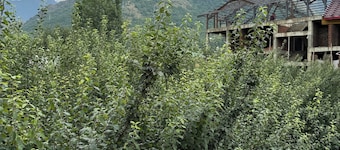 Shesh Bagh Boutique Homestay