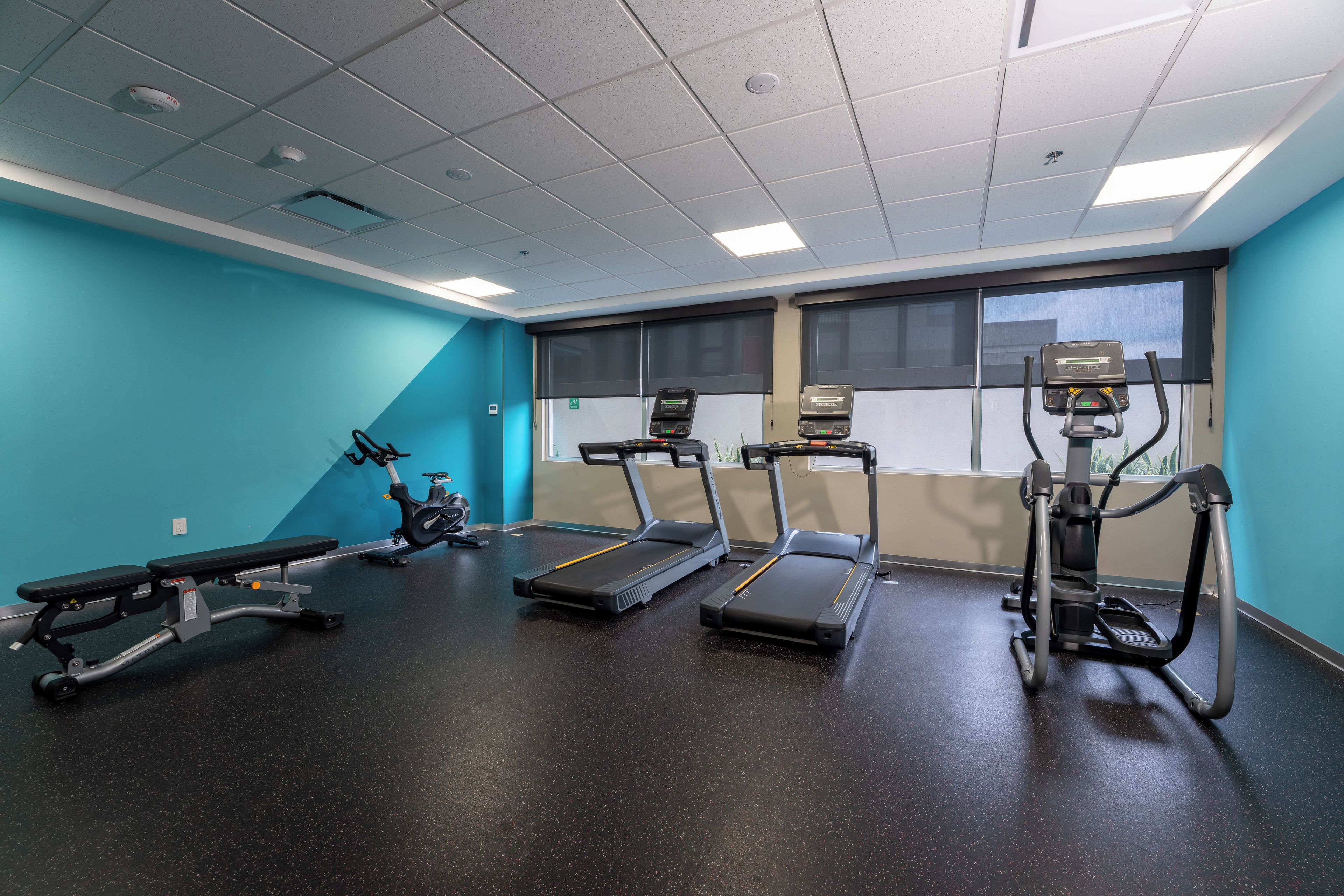 A gym with treadmills, a bench, and exercise equipment.
