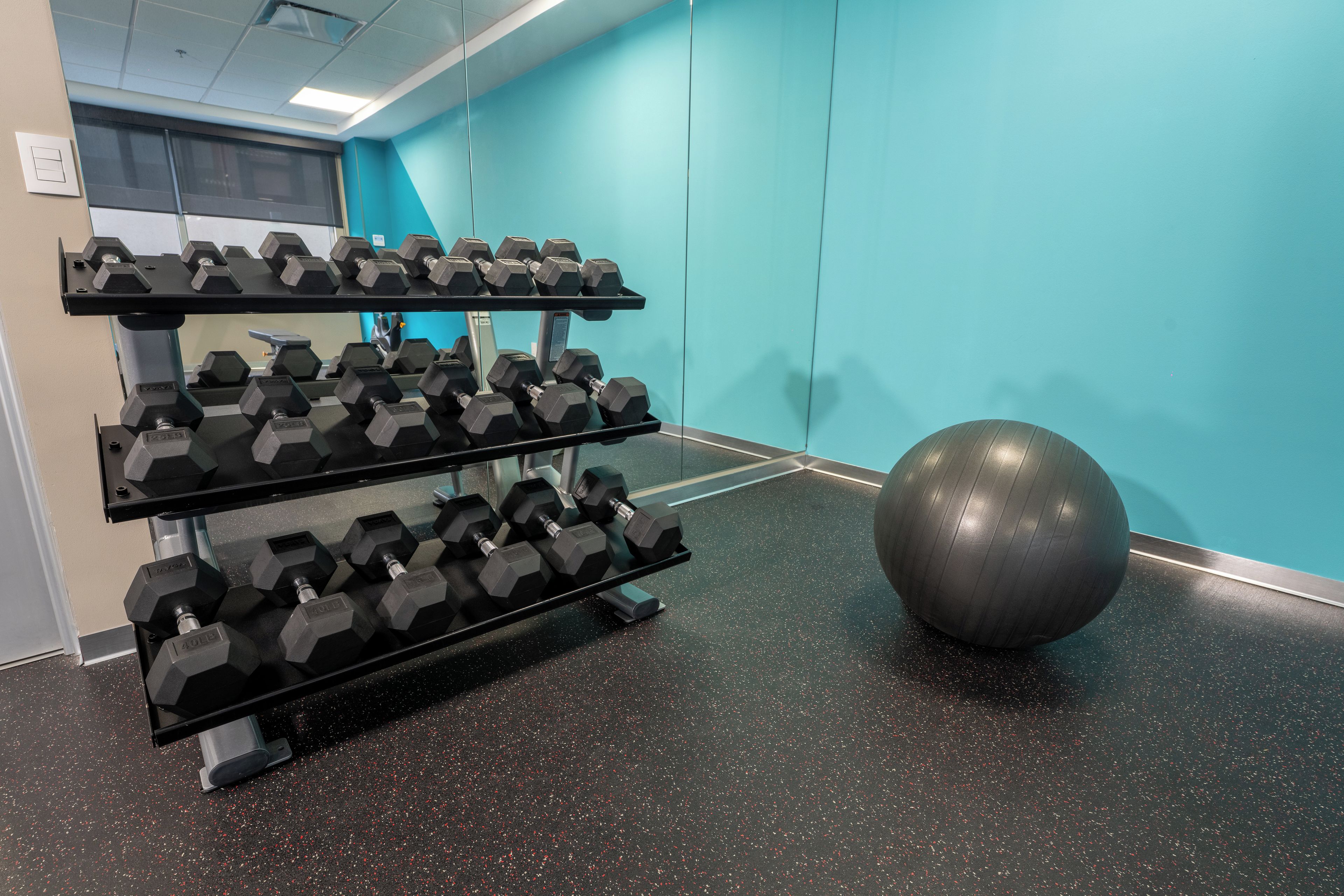 Une salle de sport équipée de matériel de musculation et d’un grand ballon d’exercice.
