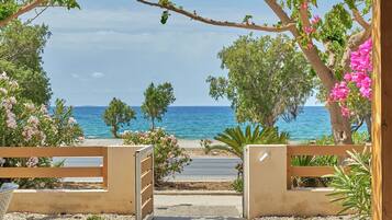 Family Apartment, 2 Bedrooms, Ocean View, Beachfront | Private kitchen | Full-size fridge, oven, stovetop, cookware/dishes/utensils