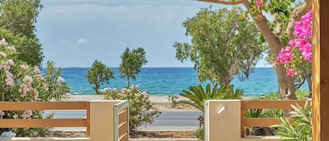 Family Apartment, 2 Bedrooms, Ocean View, Beachfront | Private kitchen