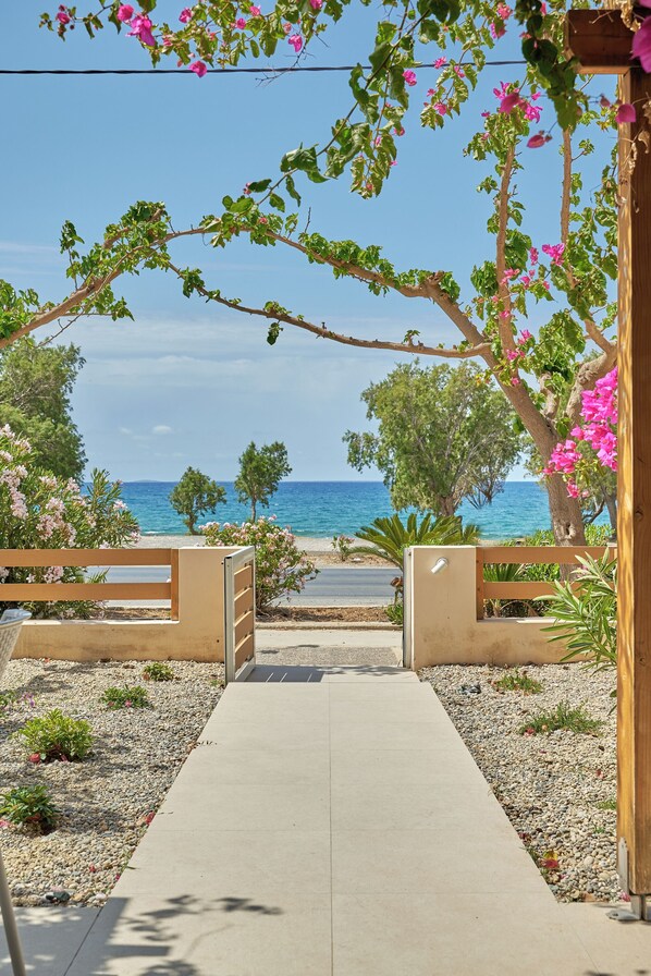 Family Apartment, 2 Bedrooms, Ocean View, Beachfront | Private kitchen | Full-sized fridge, oven, stovetop, cookware/dishes/utensils - Votsalo Ierapetra (Ierapetra)