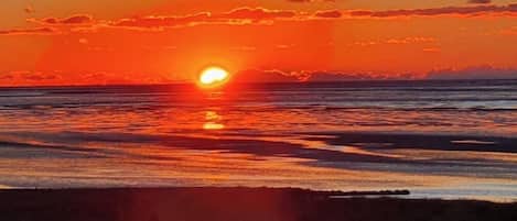 Nära stranden