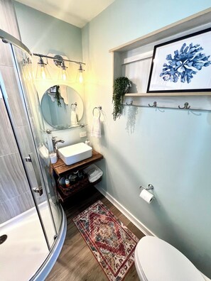 Hair dryer, towels, soap, toilet paper