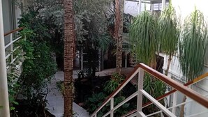A courtyard with a central water feature, surrounded by palm trees and various plants. - Pousada Oca (Holambra)