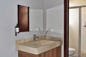 Shower, shampoo - Beautiful Department in the Historic Center. 201 (San Luis Potosí)