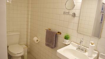 Dusche, Haartrockner, Handtücher, Seife