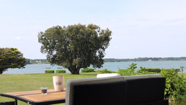 Ein Tisch mit einer Tasse und einem Buch, mit Blick auf einen See, an dem ein großer Baum und eine Wiese stehen.