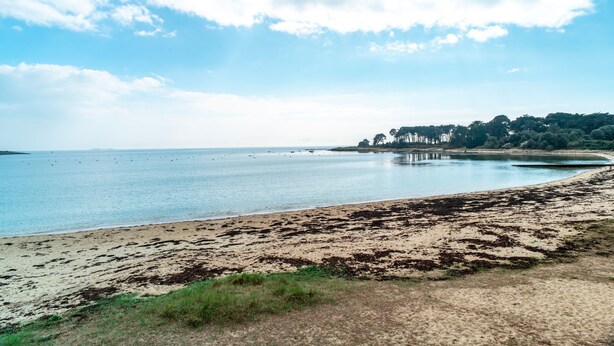 Ein Strand mit ruhiger See, sandigem Ufer und einer entfernten Küstenlinie mit Bäumen und Gebäuden.