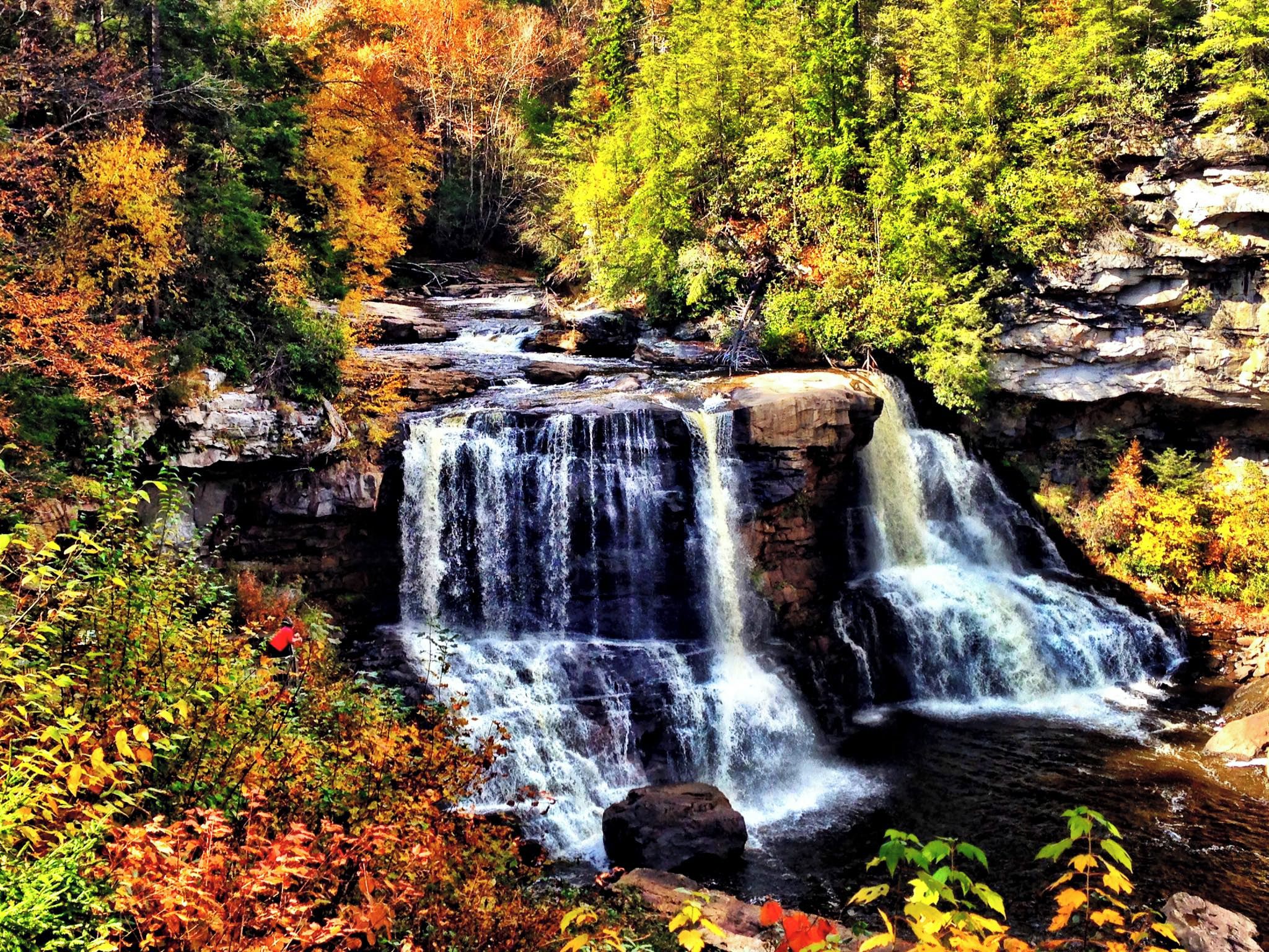 A waterfall surrounded by autumn foliage.
