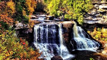 A waterfall surrounded by autumn foliage.