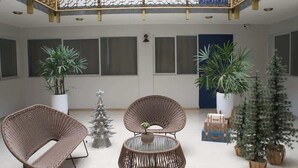 Un espai interior ampli amb mobles de vimet, plantes en testos i un arbre de Nadal.