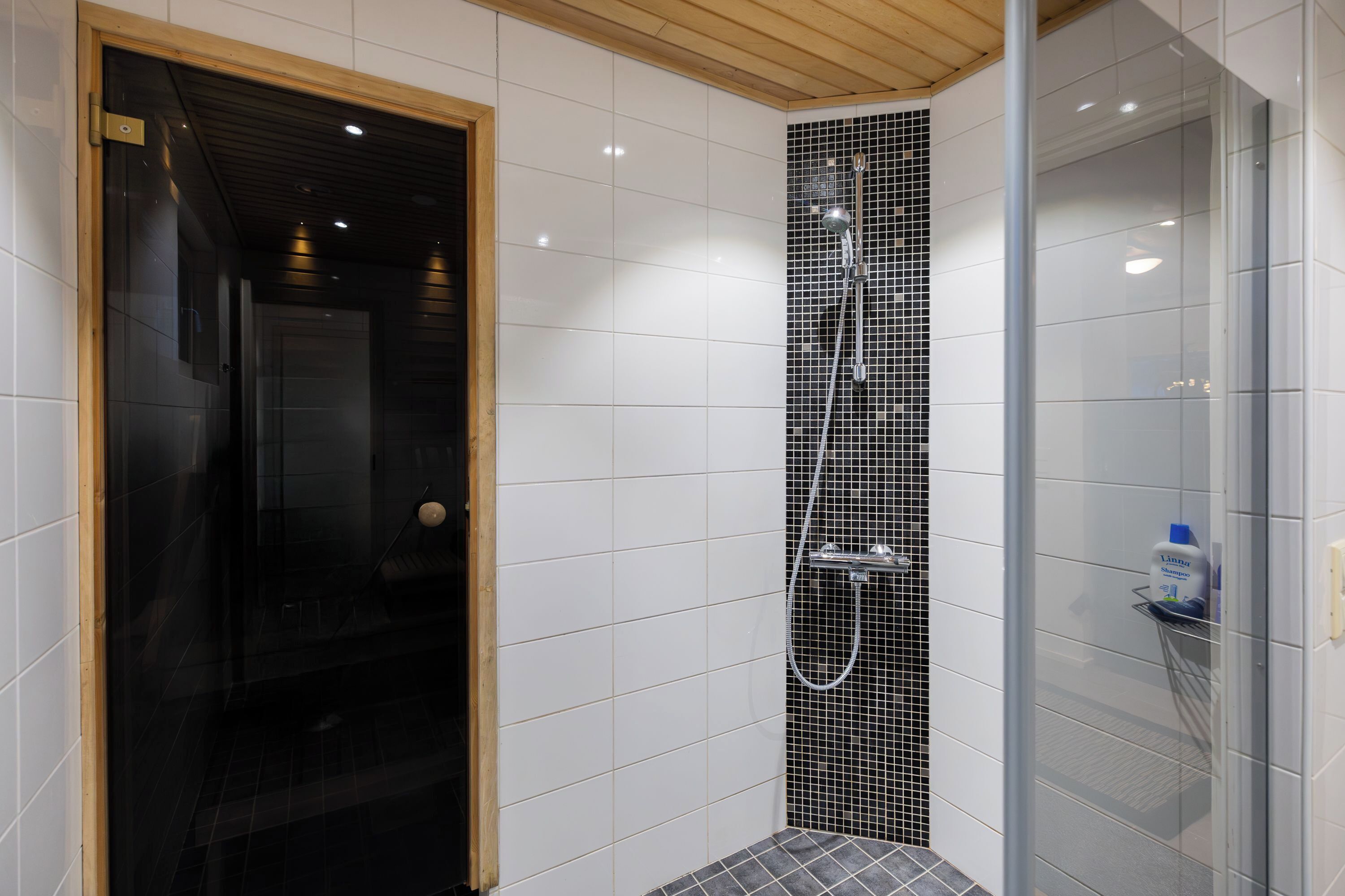 Shower, towels, toilet paper