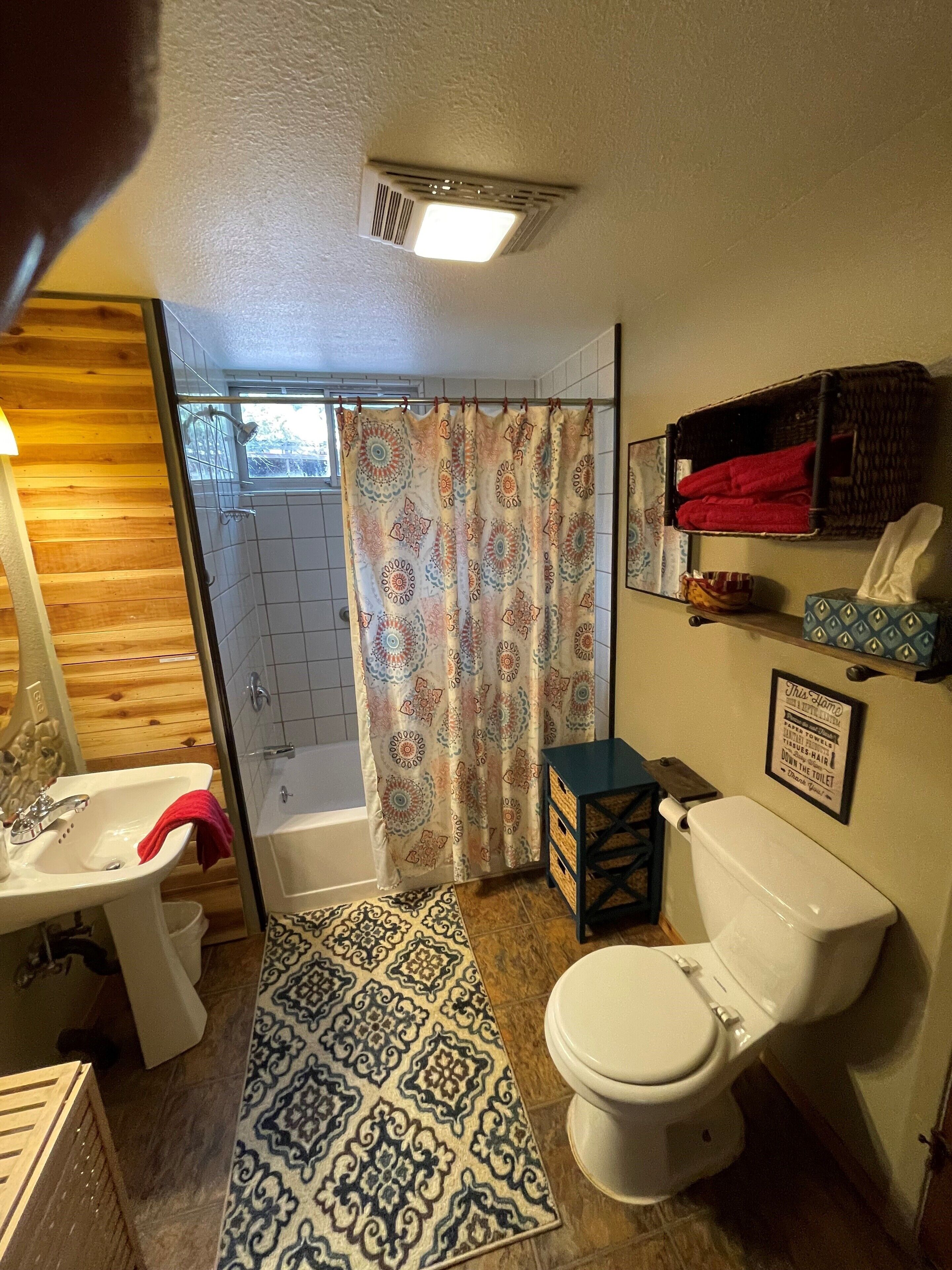 A bathroom with a shower, toilet, sink, and a patterned rug.