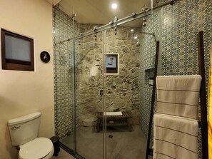 A bathroom with a glass-enclosed shower, a toilet, and a towel rack.