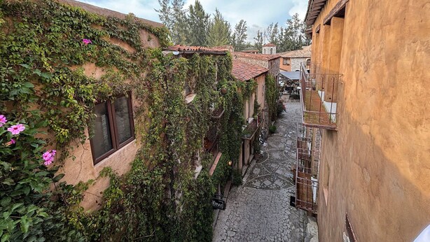 A narrow cobblestone street flanked by buildings with ivy-covered walls and traditional architecture. - Castello di Carlo – Loft Carlo II (Val'Quirico)