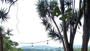 Kolam renang terbuka 