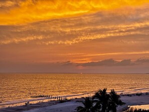 A beach scene with a sunset, calm sea, and a sandy shore with palm trees.