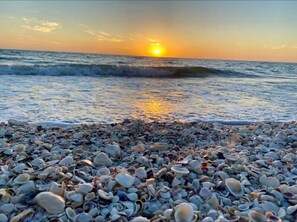 Ein Strand mit verstreuten Muscheln und einem Sonnenuntergang über dem Meer.