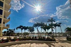 A sunny day at a resort with a pool, palm trees, and a fenced area.
