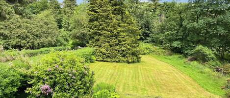 المنطقة المحيطة بالمنشأة