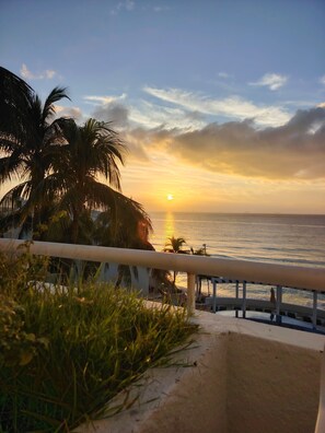 Vista desde la propiedad